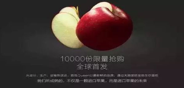 Top social|social|新媒体营销平台|kol投放|kol|kol投放平台