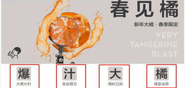 Top social|social|新媒体营销平台|kol投放|kol|kol投放平台