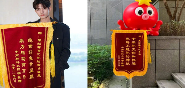 Top social|social|KOL|kol投放|kol|小红书kol|kol投放平台