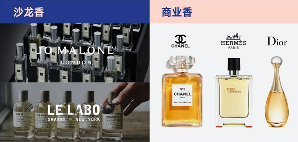 Top social|social|新媒体营销平台|kol投放|kol|kol投放平台
