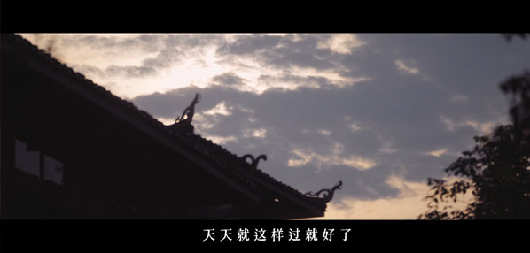Top social|数播|social|kol投放|kol|kol投放平台|kol资源|微信投放|微博投放|小红书投放|抖音投放|B站投放|新媒体投放|媒介投放平台