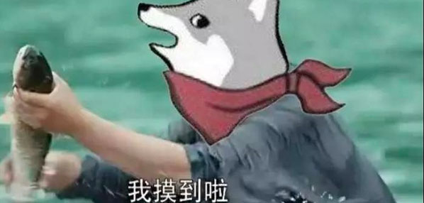 Top social|数播|social|Kol|KOL|kol平台|kol投放|kol投放平台|kol营销平台|kol接单平台|kol投放网站|kol资源|小红书kol推广|kol采购平台|kol资源平台|小红书kol|微博kol|微博kol推广